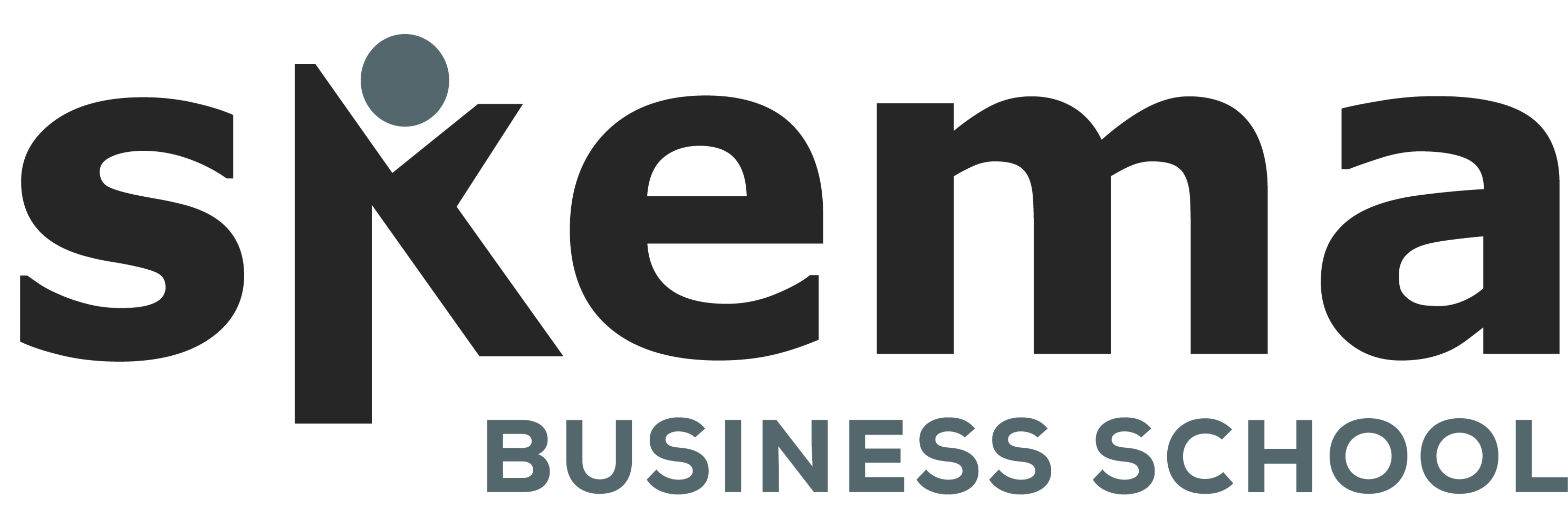 SKEMA_Business_Schools_logo